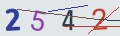 verifycode
